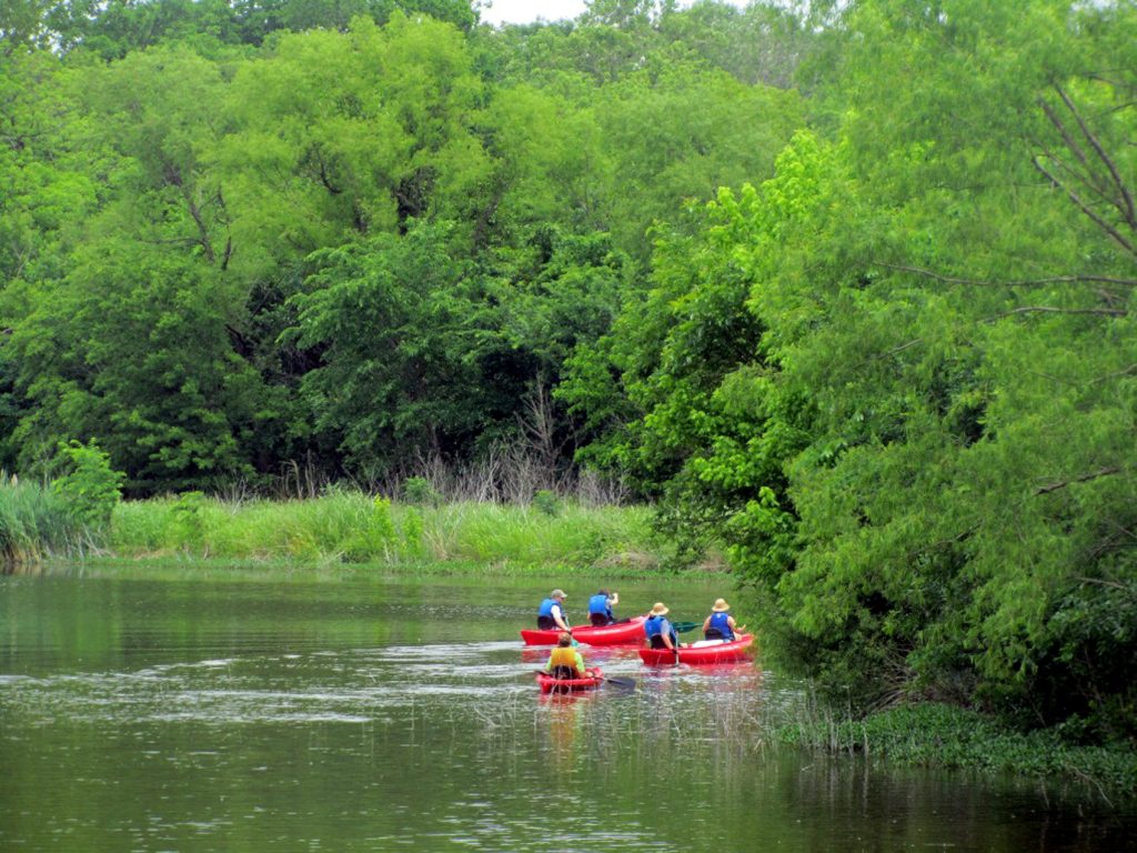 visitors out on the wetlands in canoes