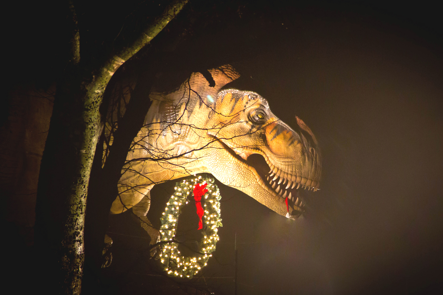 Holidays at the Heard Natural Science Museum & Wildlife Sanctuary in McKinney, Texas