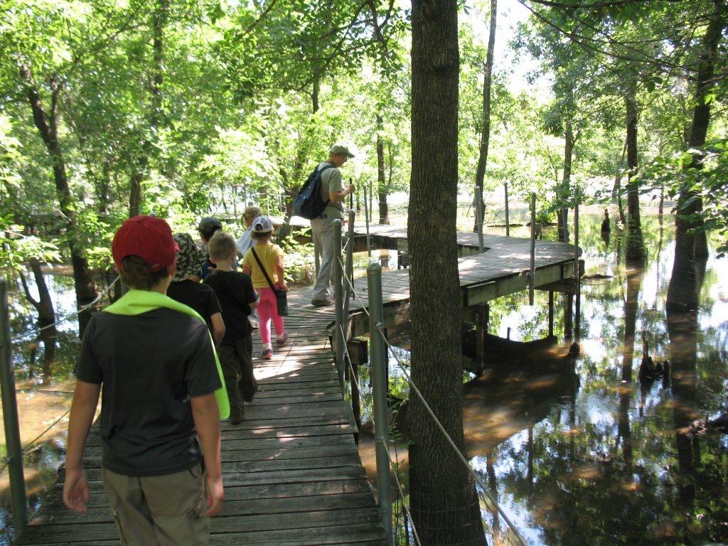 children on a hike through the wetlands