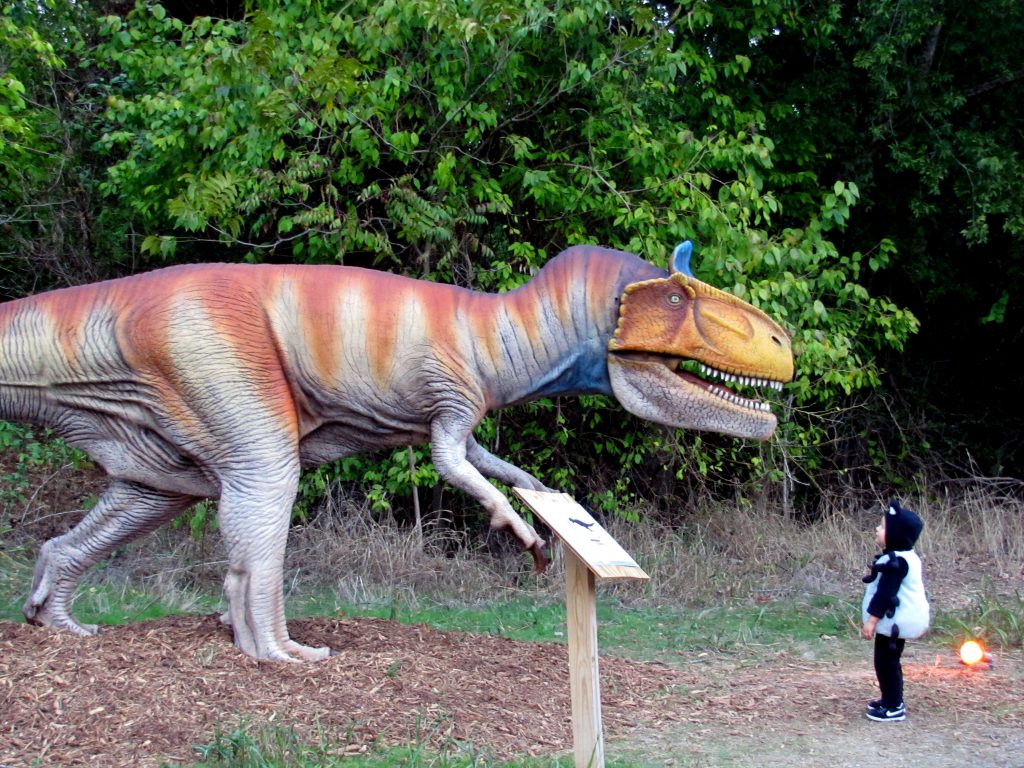 child in halloween costume looking at a dinosaur at Halloween at the heard