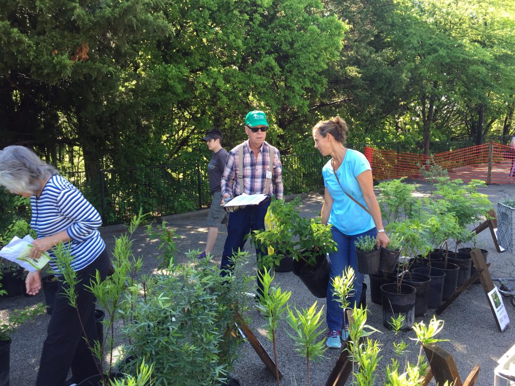 heard volunteers helping guests purchase the right plants