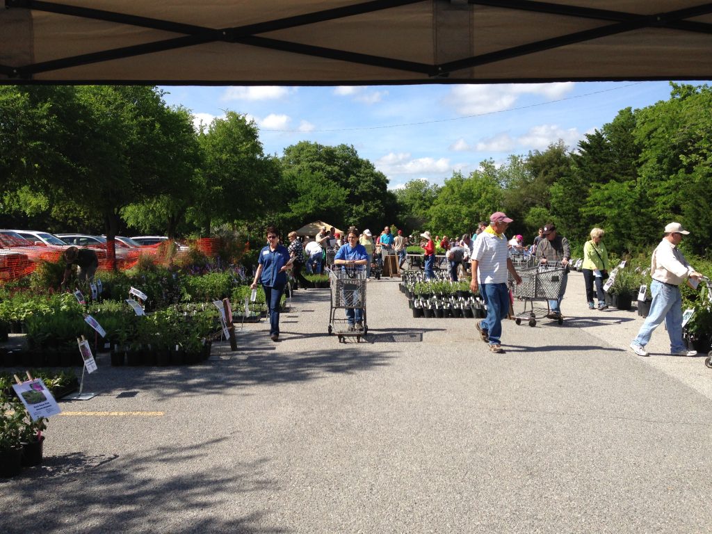 people browsing the parking lot with shopping carts, buying plants