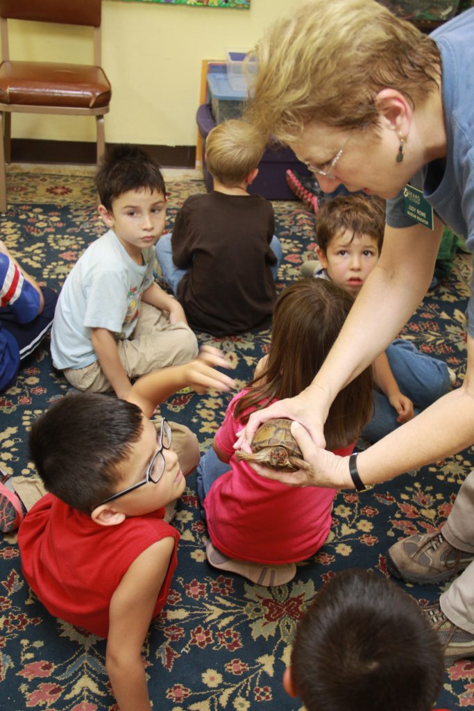 a heard employee showing a tortoise to some children