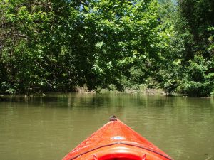 view from the front of a canoe