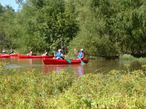 Guests paddling in a canoe