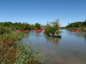 Twelve canoes out on the wetlands for Canoe Days