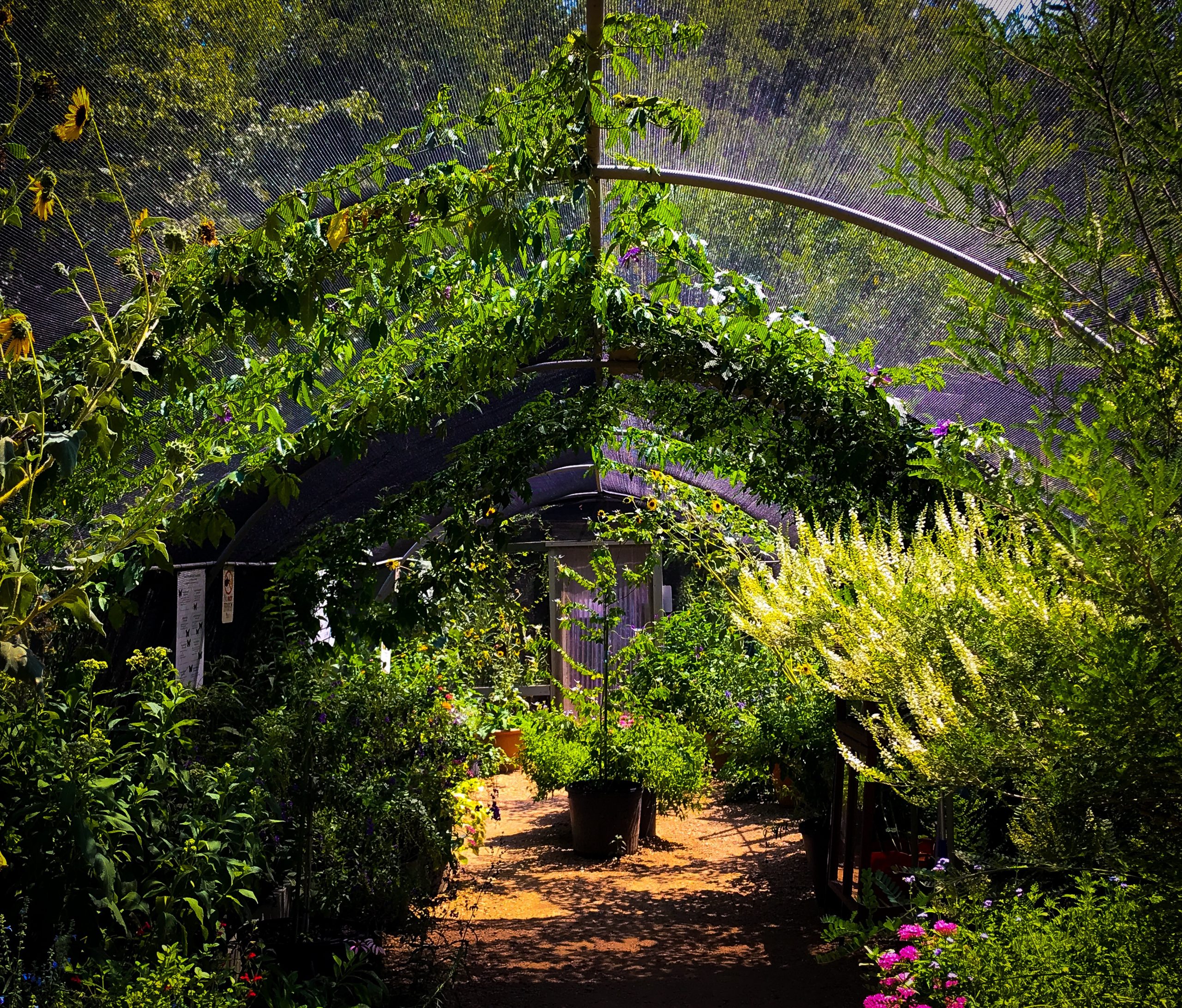 Devona Ponce Devona Ponce