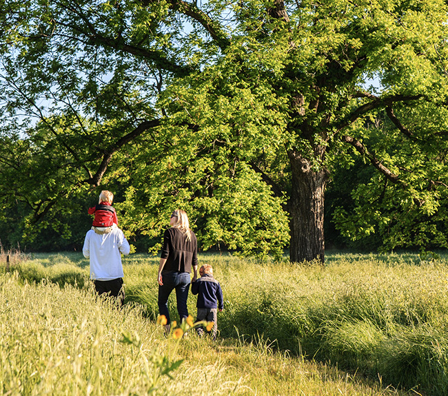 A family walking across a trail