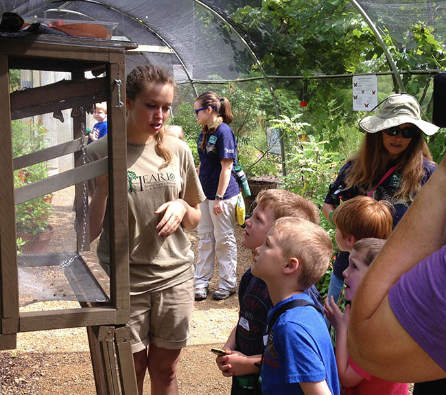 Volunteer teaching kids about the butterfly house