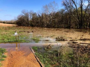 Flooding on the Prairie